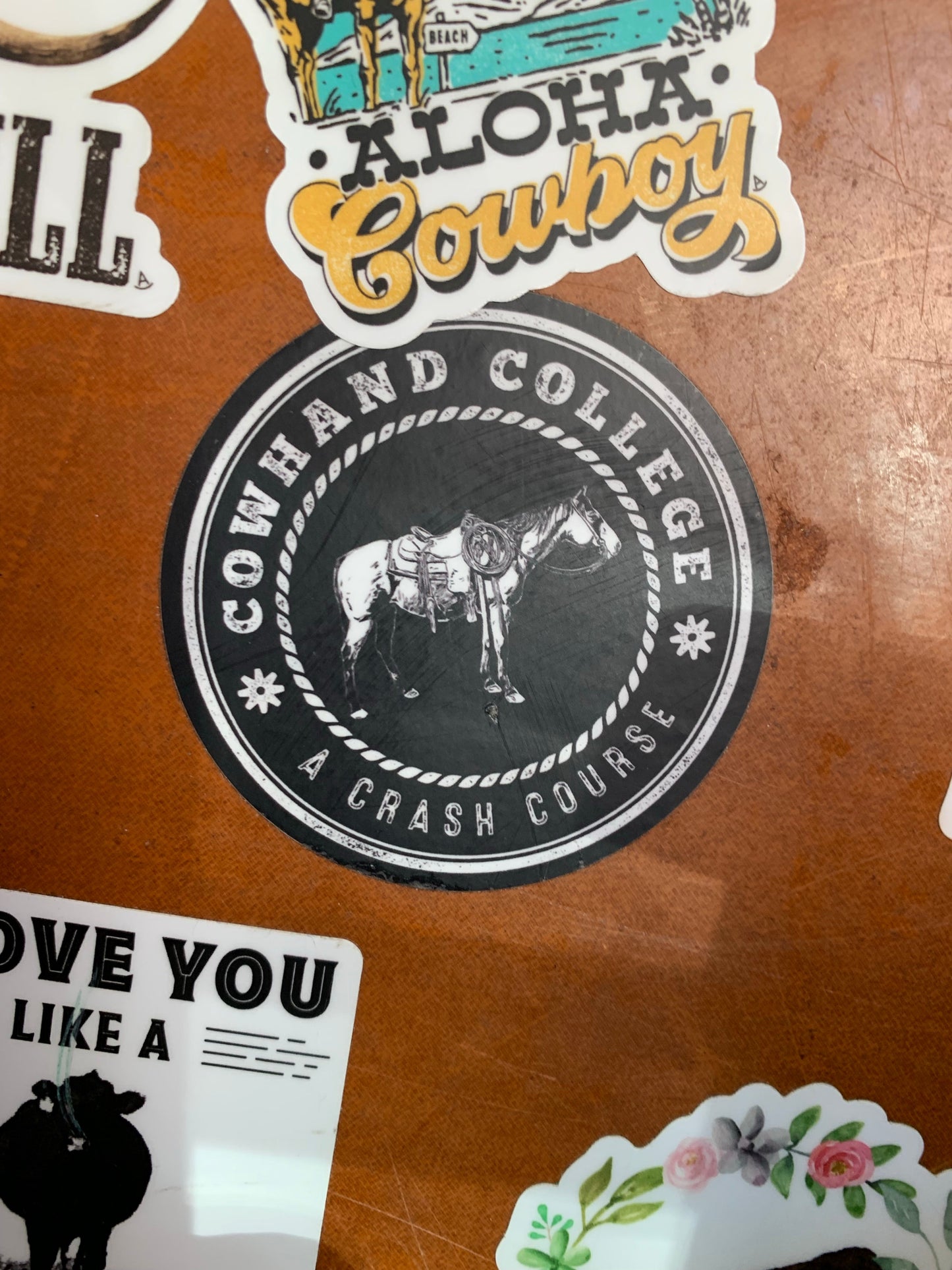Cowhand College * A Crash Course sticker